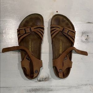 Brown Birkenstock’s